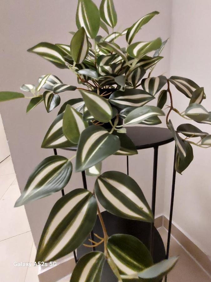 Appartement Am Uni Park Koeln Suelz Exteriér fotografie